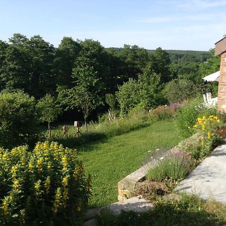 Le Ru Du Passage Villa Sart-lez-Spa Kültér fotó