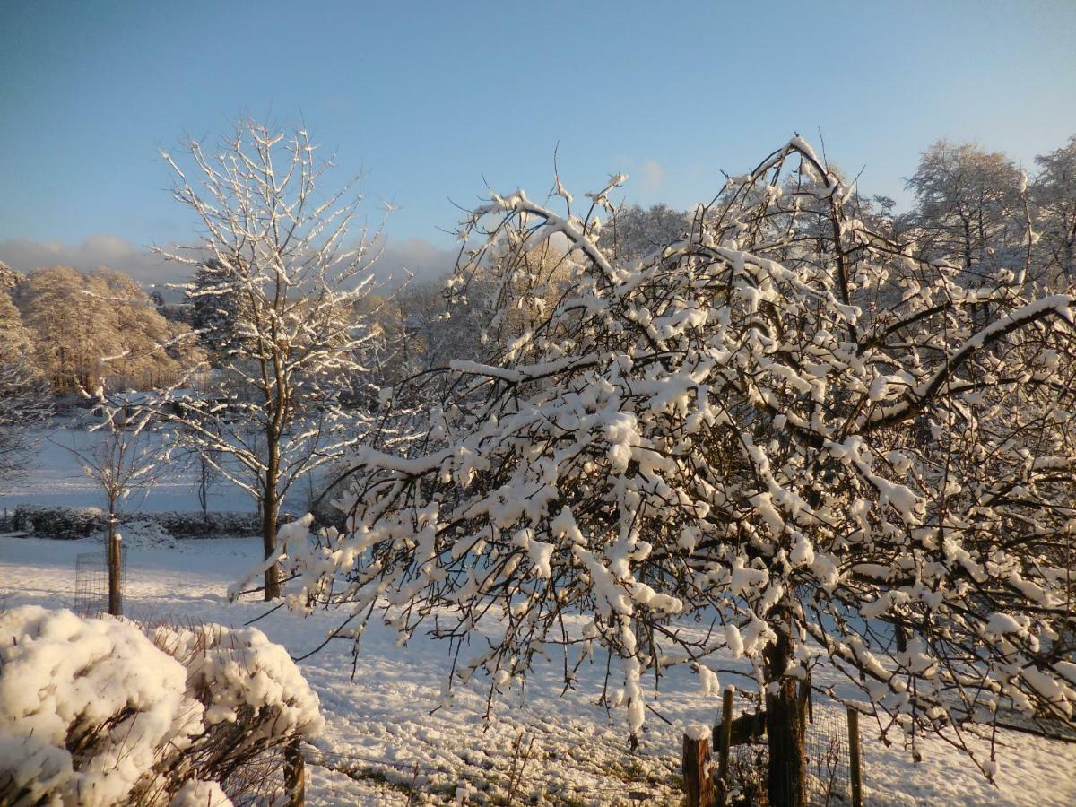 Le Ru Du Passage Villa Sart-lez-Spa Kültér fotó